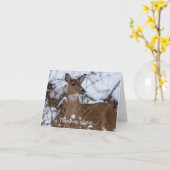 Penser Moins Cher À Votre Carte (Fleur jaune)