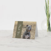 Penser Pitbull Merci carte de note (Devant)