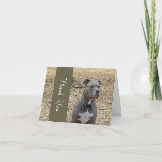 Penser Pitbull Merci carte de note (Devant)