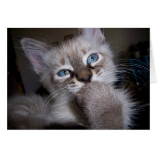 Penseur introspectif