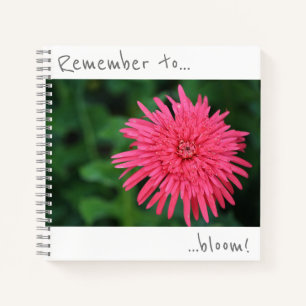 Pensez à fleurir Carnet rose Chrysanthème
