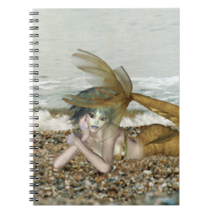 Pensez à votre Carnet