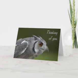 Pensez à votre carte - Chouette gris bébé