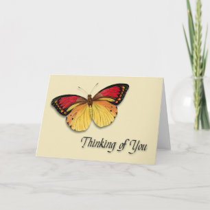Pensez à votre carte papillon