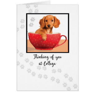 Pensez à vous à College Cute Dachsund Dog