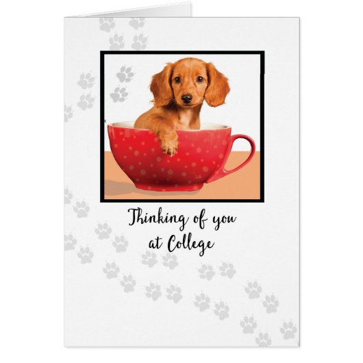 Pensez à vous à College Cute Dachsund Dog (Devant)