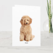 Pensez à vous Apricot Poodle Chien Carte (Dos)