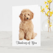 Pensez à vous Apricot Poodle Chien Carte (Fleur jaune)