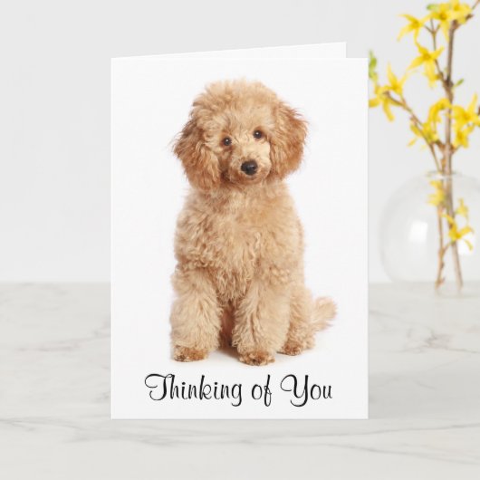 Pensez à vous Apricot Poodle Chien Carte (Fleur jaune)