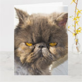 PENSEZ À VOUS CARTES DE RÉDACTION DE CHAT PERSIEN (Fleur jaune)