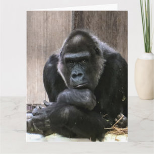 PENSEZ À VOUS GORILLA GRANDE CARTE DE SALUT