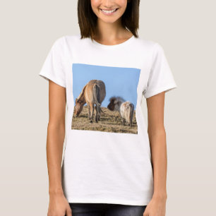 Pensez le grand T-shirt