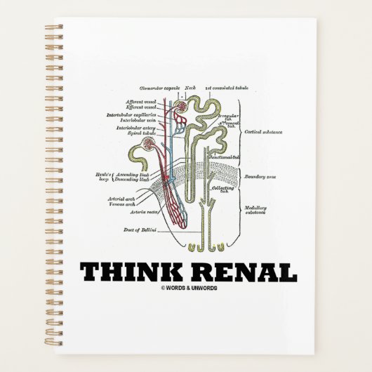 Pensez Renal Rein Nephron Conseils (Devant)