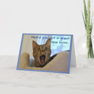 Pensioen kat is erg blij kaart