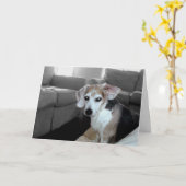 PENSIOEN ROCKS KAART (Gele Bloem)