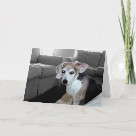 PENSIOEN ROCKS KAART (Voorkant)