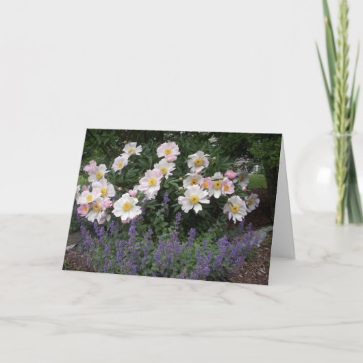 Pensioen - Tijd om de bloemen te ruiken Kaart (Voorkant)