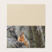 Pensioen Visitekaartjes (Buitenkant ongevouwen)