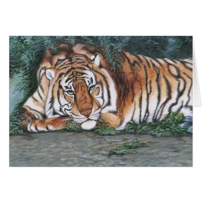 "Pensive Tiger" (Voorkant Horizontaal)