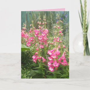 Penstemon Flower Garden floral Happy Birthday Kaar Kaart