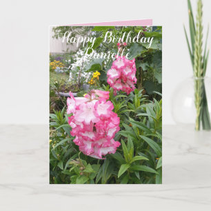 Penstemon Pink Flower Garden floral Birthday Card Kaart