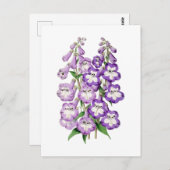Penstemon Vintage Botanical Postcard Briefkaart (Voorkant / Achterkant)