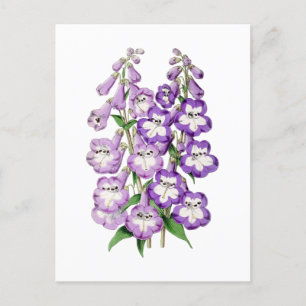 Penstemon Vintage Botanische Ansichtkaart Briefkaart