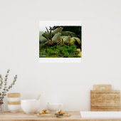 Pentaceratops uit New Mexico Poster (Keuken)