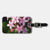 Pentas Bagagelabel (Voorkant horizontaal)