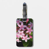 Pentas Bagagelabel (Achterkant verticaal)