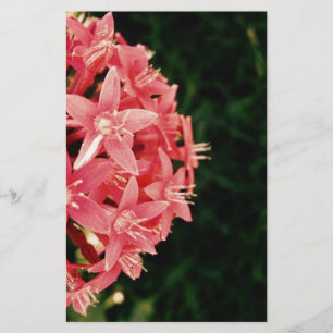 Pentas Briefpapier