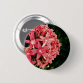 Pentas Ronde Button 5,7 Cm (Voorkant /achterkant)