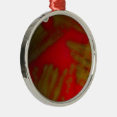 Penumonia Bacteria Metalen Ornament (Rechts)