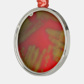 Penumonia Bacteria Metalen Ornament (Links)