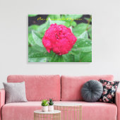 Peonie après la pluie toile enveloppée (Insitu(Salon))