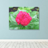 Peonie Na Regen Verpakt Canvas (Insitu (Houten vloer))