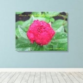 Peonie Na Regen Verpakt Canvas Afdruk (Insitu (Houten vloer))