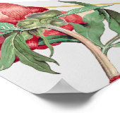 Peonies blanches roses Fleurs Mariage Tableau de s (Coin)