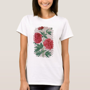 Peonies, bord 46, van de Nassau Florilegium (m/v T-shirt