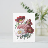 Peonies Briefkaart (Staand voorkant)