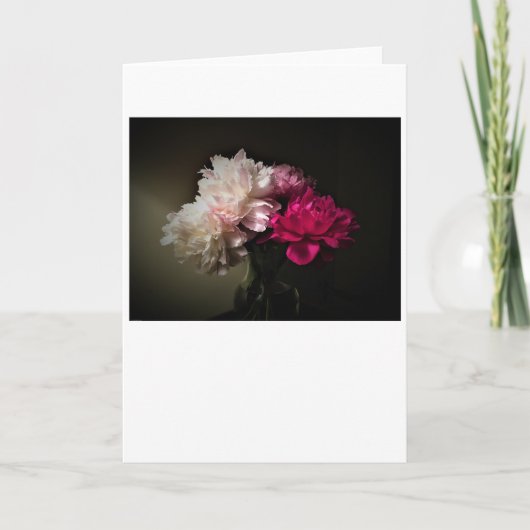 Peonies, carte (Devant)