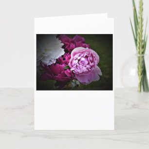 Peonies, carte