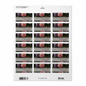 Peonies Peinture 2 Étiquette de adresse de Merci d (Feuille entière)