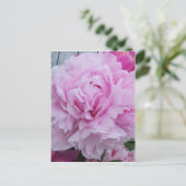 Peonies roses / Carte postale Peony (Debout devant)