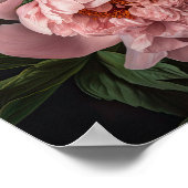 Peonies roses Flower Art Imprimer Poster (Coin)