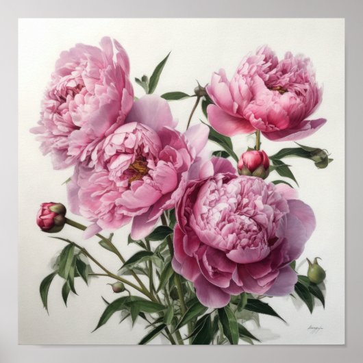 Peonies roses Flower Art Imprimer Poster (Devant)