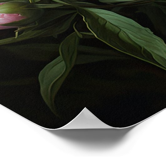 Peonies roses Flower Art Imprimer Poster (Coin)