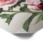 Peonies roses Flower Art Imprimer Poster (Coin)