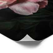 Peonies roses Flower Art Imprimer Poster (Coin)