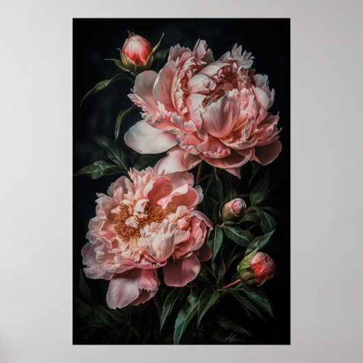Peonies roses Flower Art Imprimer Poster (Devant)